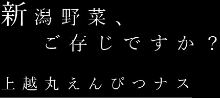 上越丸えんぴつナス